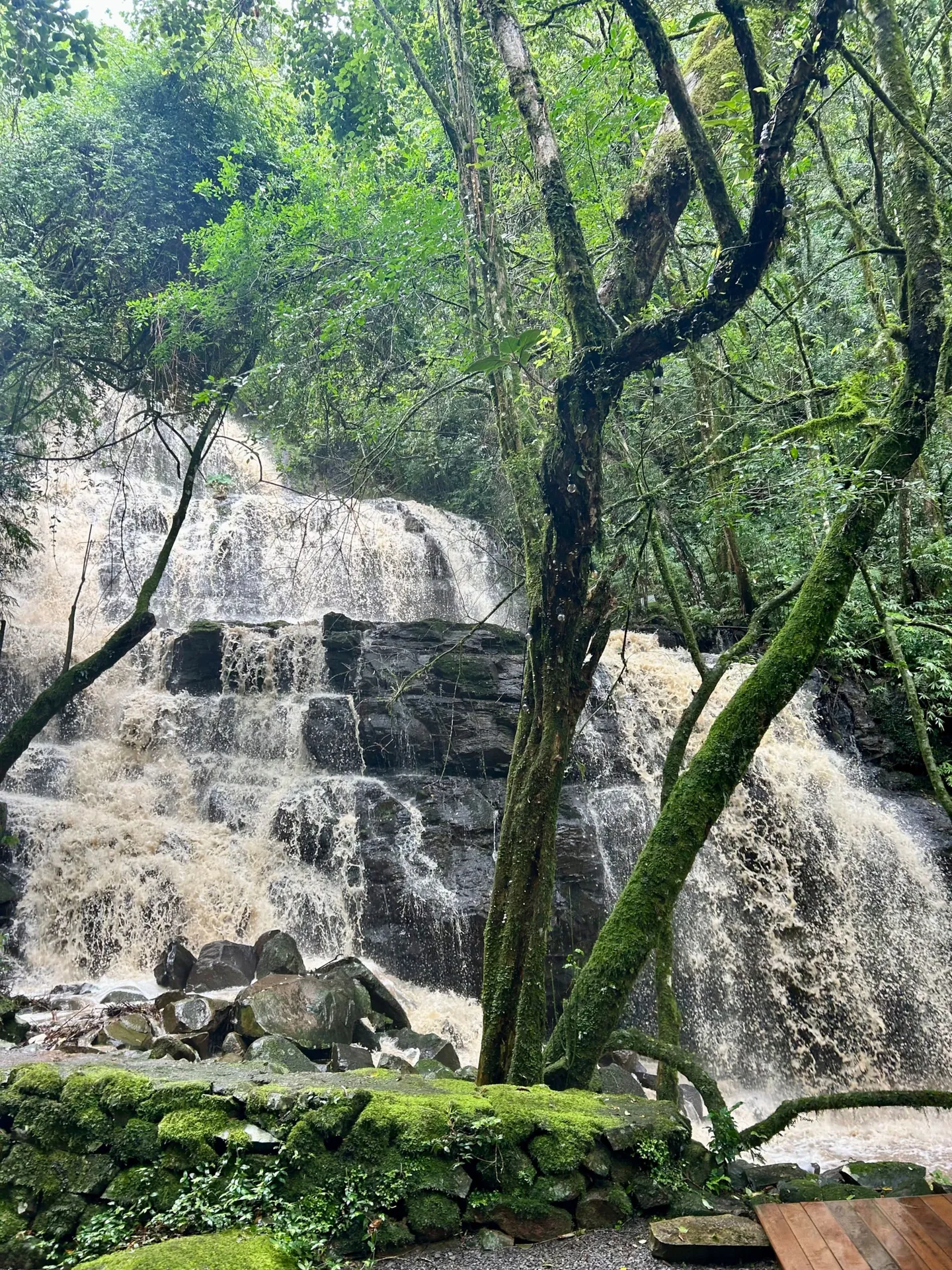 A cascata em vários degraus de pedra, entre as árvores
